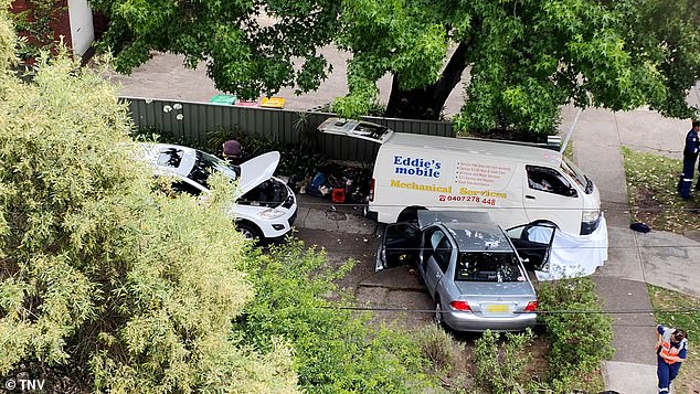 Smith's gray sedan drove onto the footpath in Carlingford and struck the three schoolboys, pinning Calvin against a parked van