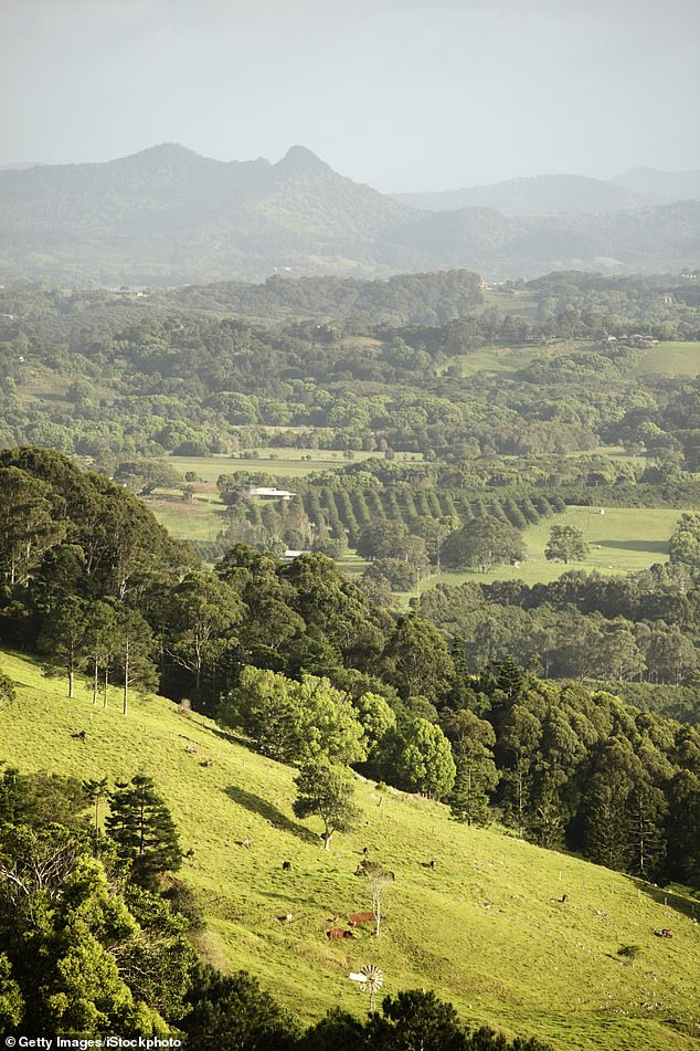 Ellen Lascelles chose a very different wedding location than her grandparents, outside in the Australian gem