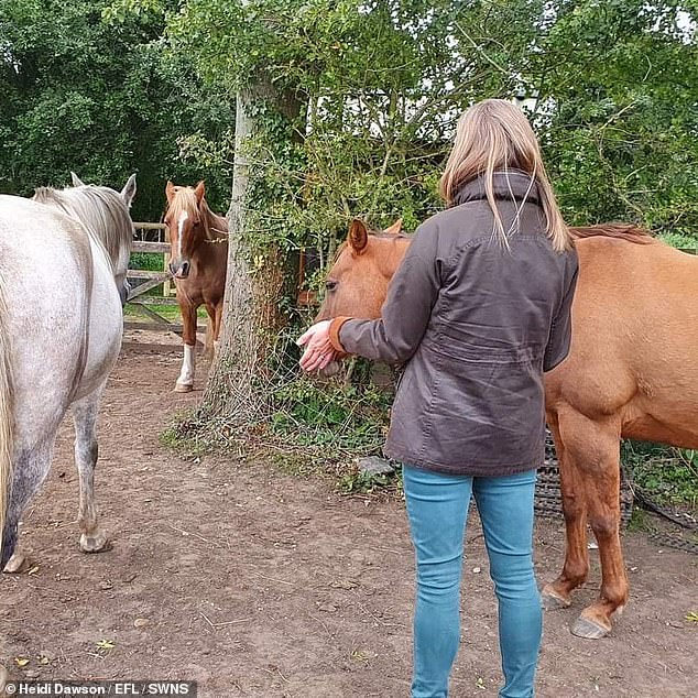 After a successful career helping people climb the corporate ladder, the 48-year-old has turned her attention to the animal kingdom