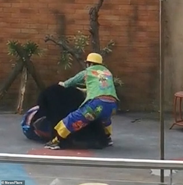 The circus artist was left on stage without any significant injuries after the incident