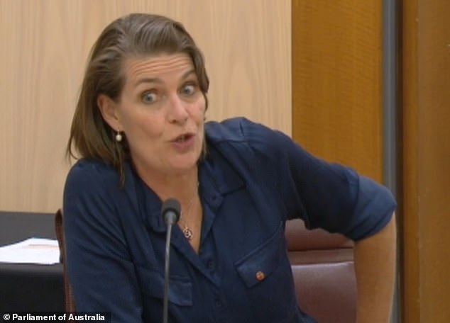 Senator Davey (pictured) made headlines when a video emerged of her making a lengthy statement at a late-night committee meeting, later admitting she had had a few glasses of red wine beforehand.