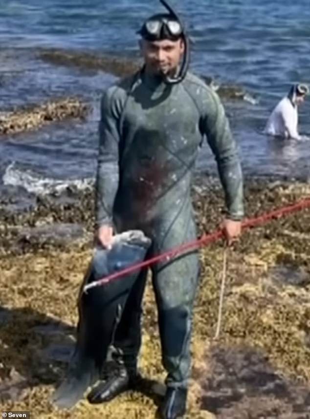 It comes after numerous incidents in which 'Labradors of the sea' were speared by fishermen and left local communities in turmoil (Photo: Man poses for a photo after killing Gus)