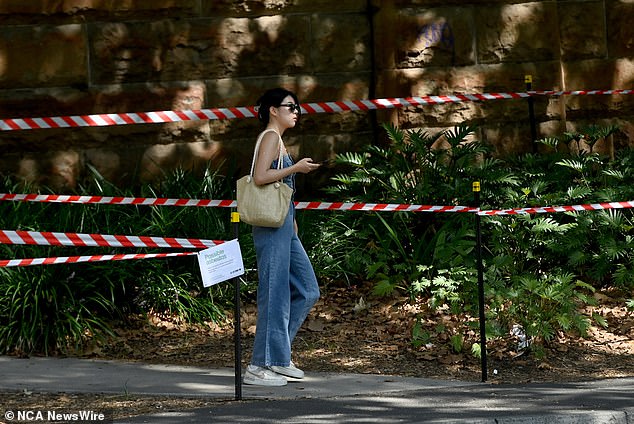 One pedestrian criticized the measure to tape off the trees, saying it would do little to protect those using the footpath (pictured, taped off areas on a footpath in Sydney)