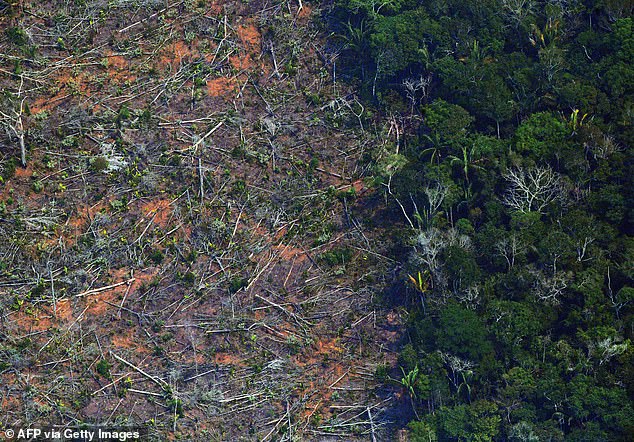 This study looked at the 'biodiversity footprint', which refers to the extent to which habitats of plant and animal species are affected.  An example is deforestation – the process of cutting down trees, often to make room for growing crops, destroying species' homes