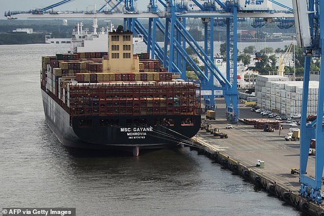 Cranes unload the cargo ship MSC Gayane at the Packer Marine Terminal in Philadelphia