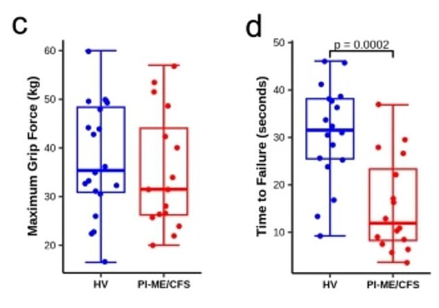 Graphs showing the results of a maximum grip strength test and time to failure in both CFS patients (red) and healthy volunteers (blue).  Boxes show the range of average performance, while the thicker vertical lines show the maximum and minimum recorded values