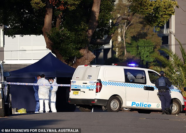 Stemler was shot dead in Broughton Street, Canterbury (above) at 2am after encountering two men in what is believed to be part of a bloody gangland war