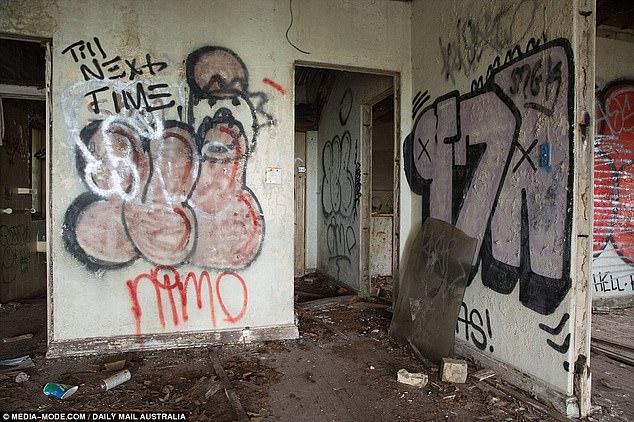 The abandoned estate (pictured), used as a meeting place for teenagers and squatters, has fallen into disrepair since the last known resident, Antony Parer, moved in 2001.