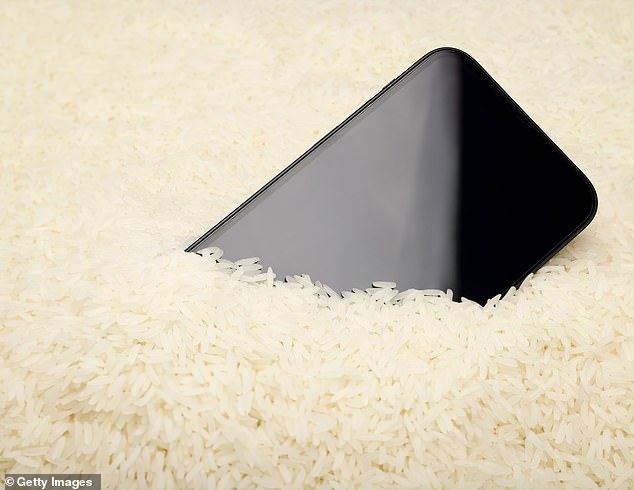 You may have heard the myth that a bowl of dry rice can fix a drowned phone.  However, Apple says this risks doing more harm than good (file photo)