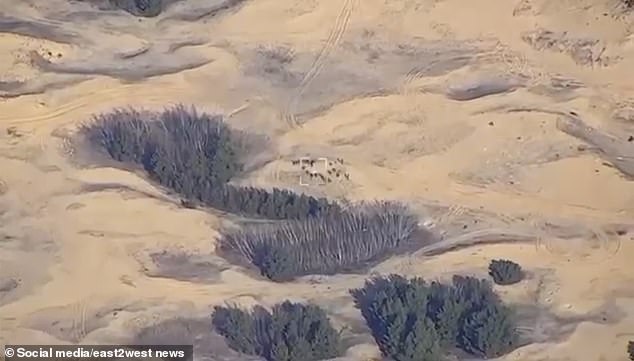 The video cuts to a second view of the open field as more soldiers gather in another group.  The men look like ants from a distance as they take up position