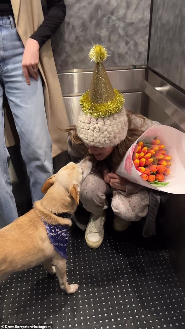 Even an adorable yellow dog got a little Drew's love and excitement on her special day