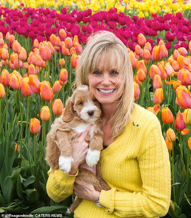 Sandi adopted Reagan when he was just eight weeks old (pictured as a puppy)