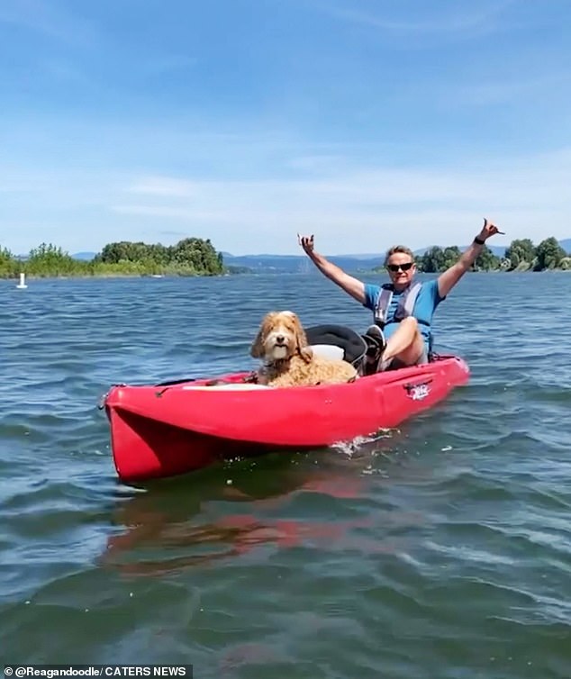 The patient dog is up for anything and enjoys a trip in a canoe