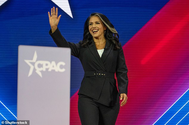 Former United States Representative Tulsi Gabbard