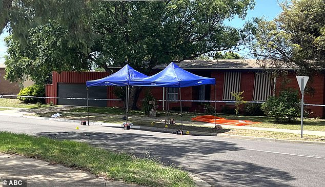 Neighbors reported seeing Ms Carpio-Woodley's 'entire head' on fire before it was extinguished after firefighters used a nearby garden hose (photo, crime scene)