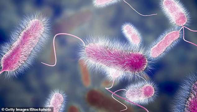 Legionnaires' disease is not transmitted from person to person, but people can become infected if they are exposed to contaminated water particles