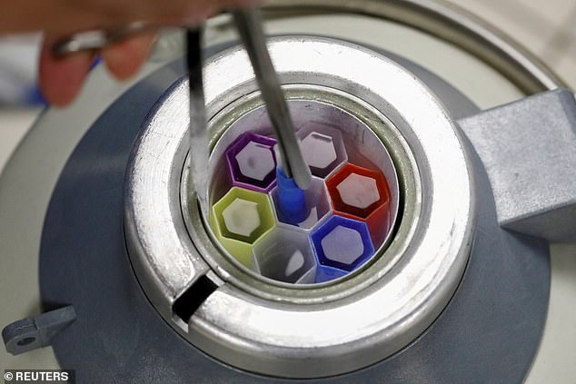 Medical technician prepares embryo and sperm samples