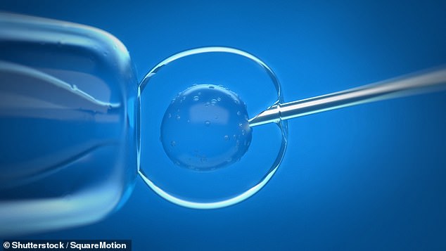 In vitro fertilization involves removing eggs from a woman's ovaries, fertilizing them outside the uterus and implanting them into the woman's uterus (Stock Image)