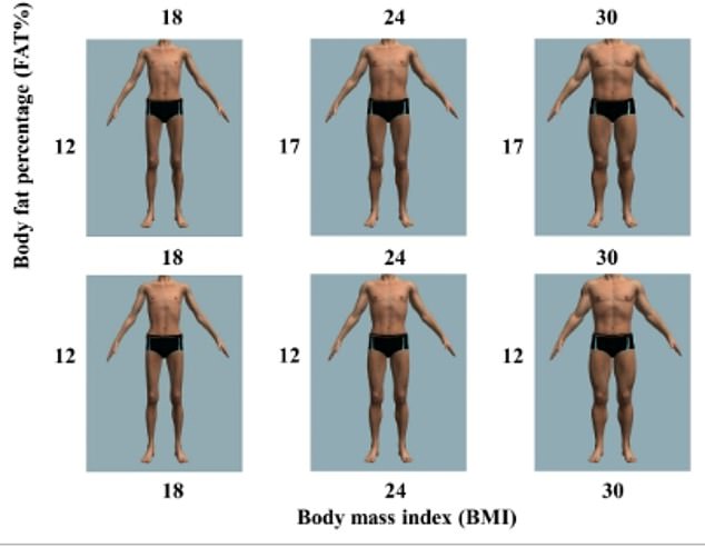 Women in Italy were asked to indicate which male body type they found most attractive by varying body fat percentage and body mass index (BMI).  They found the man at the top and middle the most attractive