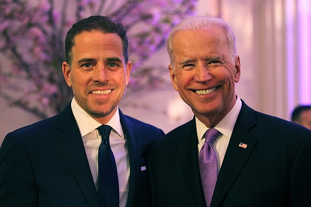 Galanis told investigators that 'Hunter Biden's entire value added to our company was his family name and his access to his father, Vice President Joe'