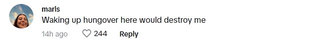 But on the other hand, some viewers weren't fans of the eccentric room, as one wrote: 'Waking up here with a hangover would destroy me'