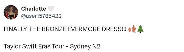 Fan went wild over the dress choice, with many waiting for her to wear it again after previously donning the dress on stage during previous tour dates