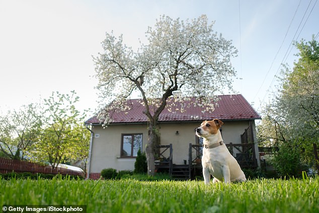 The anonymous user revealed that his 90-year-old mother's neighbor lets her dog wander twice a day before pooping in her grass.