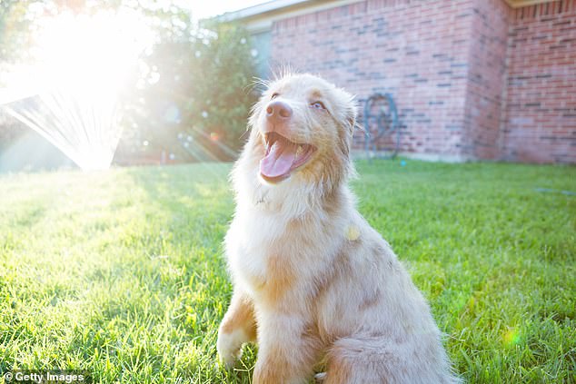 The Canadian OP revealed that the neighbor collected the dog poop from her yard and left it in a brown paper bag on their mother's porch.