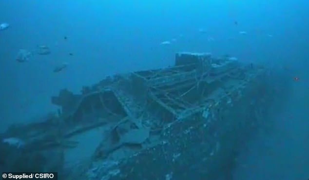 Scientists now believe that the SS Nemesis's engine was overwhelmed during a storm and suffered damage to the bow and stern (see photo of Nemesis's stern hatch and engine)