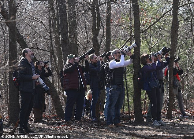 Photographers and birdwatchers from around the world were drawn to New York in February as news of Flaco's escape spread