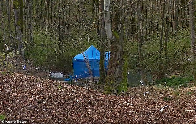 Irwin's encampment can be seen in the woods of Dr.  Jose Rizal Park in Seattle's Beacon Hill neighborhood