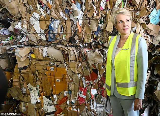 Federal Environment Minister Tanya Plibersek said she is just cleaning up the recycling industry after the coalition left it in a 'mess'