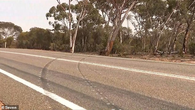 The girls' mother, Rachel van Oyen, 31, was at the wheel when the vehicle came off the Great Eastern Highway (pictured) in Carrabin about 11am on Sunday.