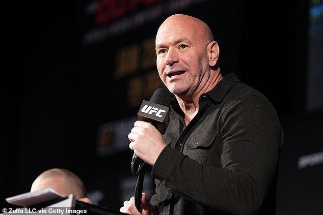 Dana White played down the brutal fight, insisting it did not damage the sport's reputation