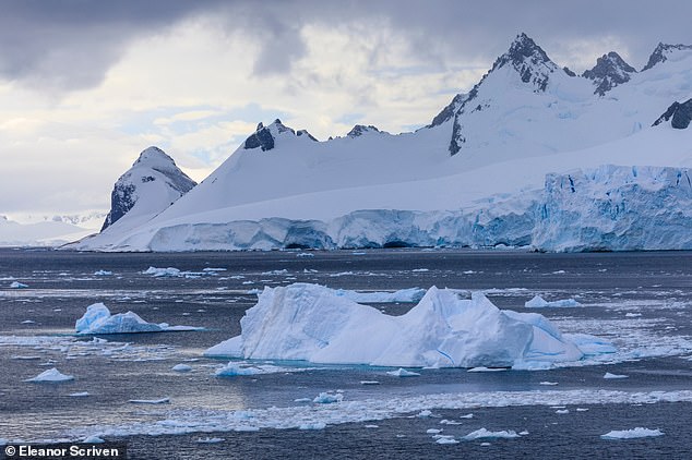 Sea ice plays an important role in maintaining Earth's energy balance while helping keep the polar regions cool thanks to its ability to reflect more sunlight back to space.  In the photo: sea ice in the water near Cuverville Island in Antarctica