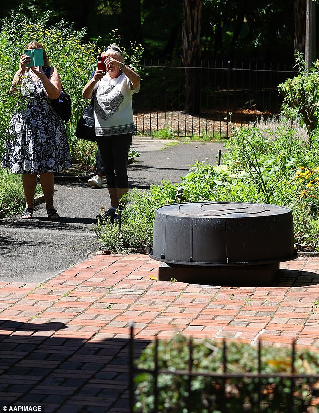 The vandals sawed off the statue just underfoot and left it on the ground, adding to the tourist attraction as visitors looked for a photo of the empty stand (pictured)