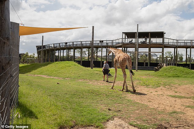 Swift's decision to go to the Sydney Zoo (pictured), instead of the iconic Taronga Zoo, resulted in a statement from the rival park and a reported rivalry