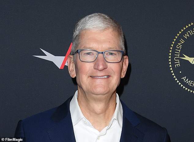 When asked about the project by the New York Times in 2021, Apple CEO Tim Cook, pictured, said: “We'll see what Apple does.  We investigate so many things internally.  Many of them never see the light of day'