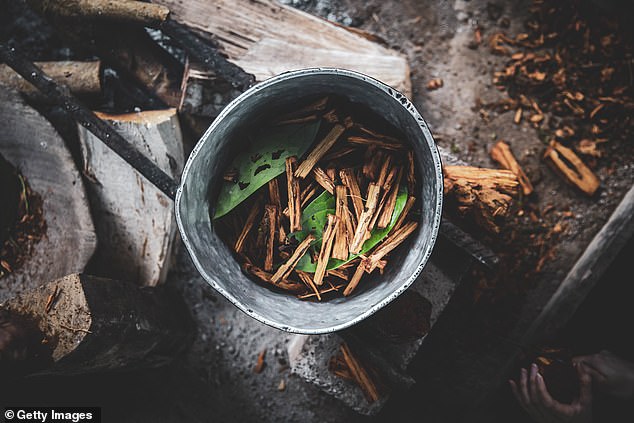 Tim Sae Koo now runs the Reunion Ayahuasca Center in Costa Rica, where tech entrepreneurs come to drink the powerful psychedelic brew ayahuasca, which contains the chemical DMT.