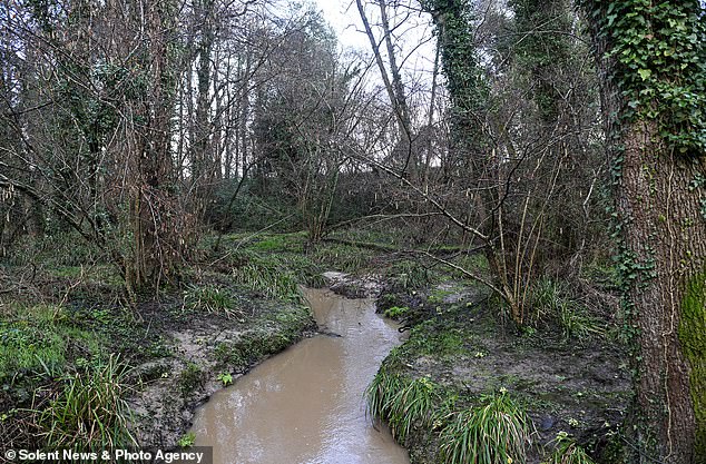 At Shawfords Lake Stream (pictured), untreated sewage killed more than 2,000 fish after a pump failed for 19 hours