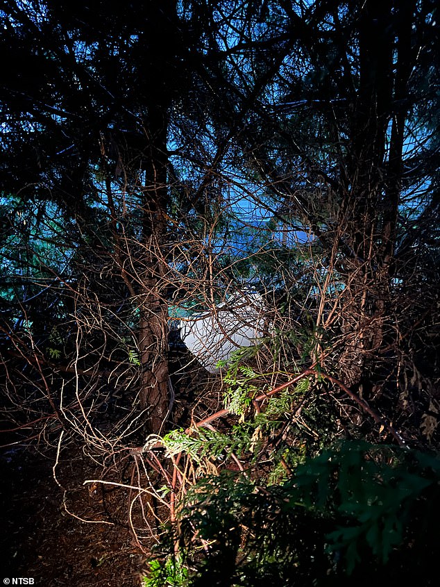 The door flew off and landed in the backyard of a suburban home in Portland, Oregon