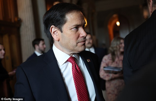 Senator Marco Rubio told DailyMail.com he was shocked by McConnell's announcement