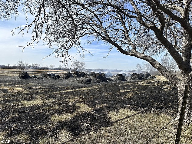 Ranch workers didn't have time to evacuate their livestock as the blazing fire approached