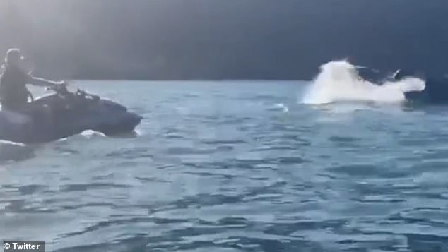 The man following the humpback whale in the video as it pulls its tail out of the water.  Federal prosecutors, who are also investigating the case, said the man appeared to be Bolsonaro