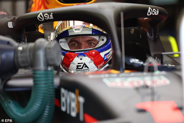 Reigning world champion Max Verstappen looked frustrated on the first day