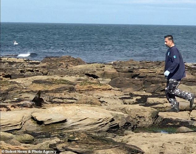 The RSPB said action has been taken and the person responsible and liable for Coquet Island at the time is no longer employed by them