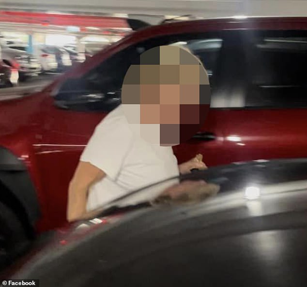 Sydney shopper Claire shared photos of the dog and its owner (pictured) after reportedly waiting 45 minutes for the woman to return to her car