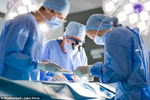 Around 25,000 NHS patients undergo surgery every year to repair heart defects such as a faulty mitral valve, one of the most common operations (Stock Image)