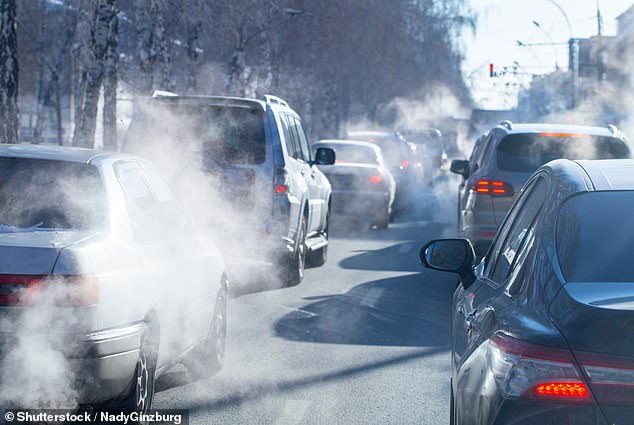While the link between air pollution and lung disease is well known, it is also directly implicated in cancer, including breast and prostate cancer, according to the review of 27 studies (Stock Image)