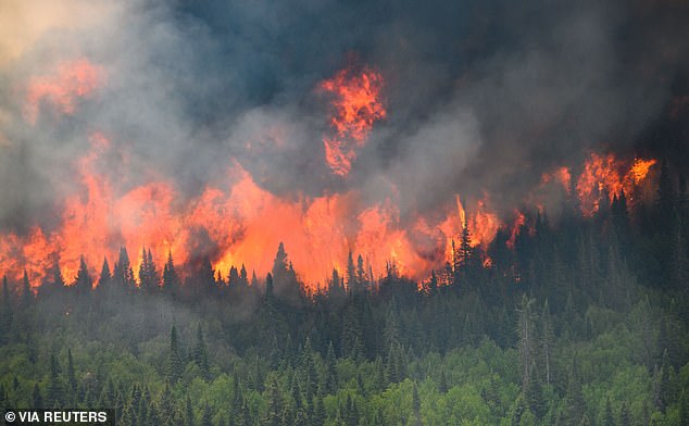 Fires scorched 42.7 million hectares of land in Canada last year due to out-of-control blazes in Alberta, Ontario, Quebec, British Columbia and Nova Scotia